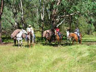 Packhorse Trek