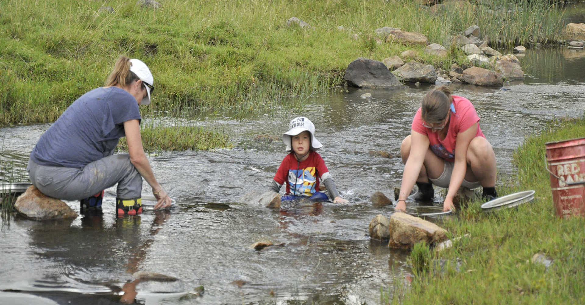 Fossicking for Sapphires in Reddestone Creek NSW Australia