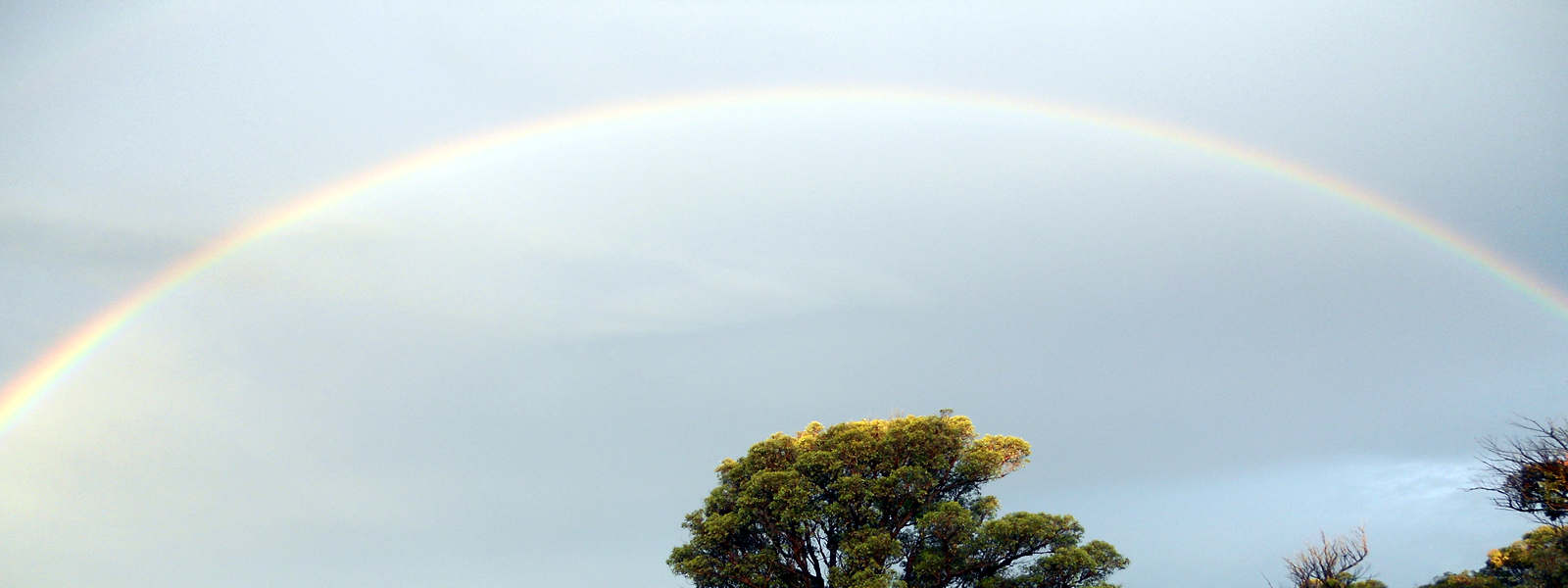 Rainbow at Three Waters Holidays