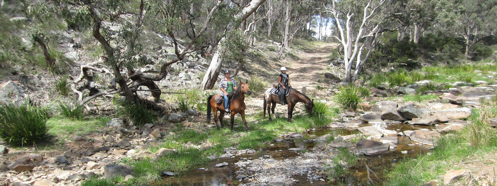 Riders at Three Waters Holidays