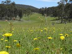 Three Waters in Spring