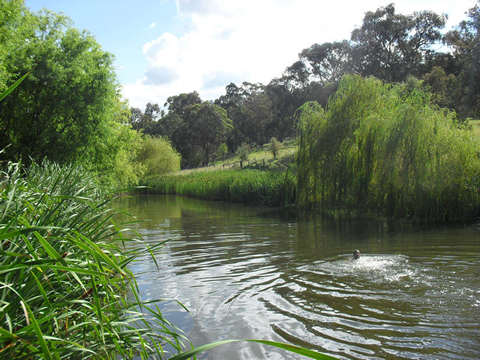 Three Waters High Country Holidays